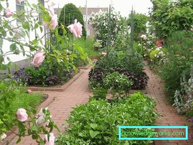 83-giardino e giardino con le proprie mani