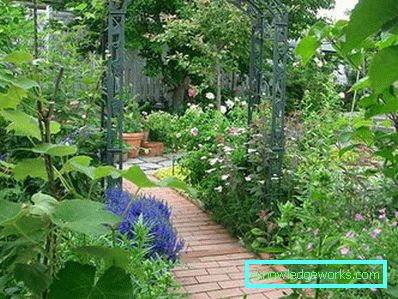83-giardino e giardino con le proprie mani