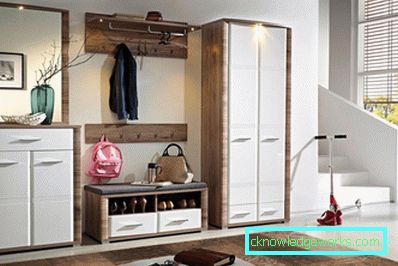 Guardaroba nel corridoio - le tendenze più alla moda. 110 foto nell'interno del corridoio