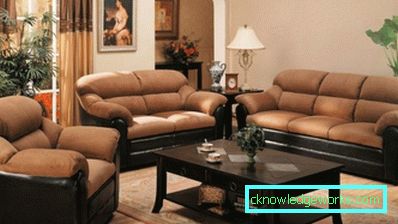 108-Chocolate living room - foto insolita