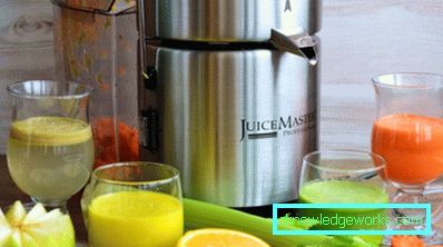 Juice Master Professional Juicer Juice Master Professional Juicer