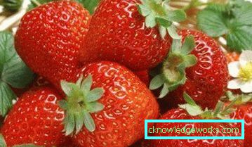 252-Varietà e tipi di fragole