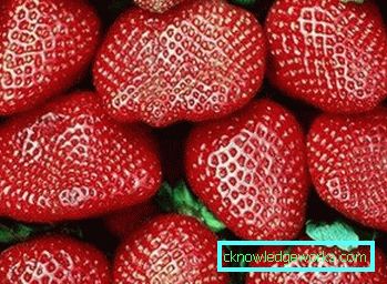 252-Varietà e tipi di fragole