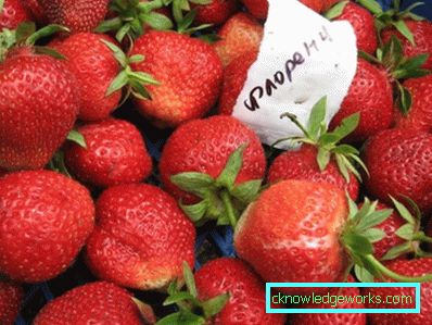 252-Varietà e tipi di fragole