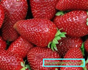 252-Varietà e tipi di fragole