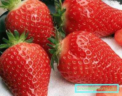 252-Varietà e tipi di fragole