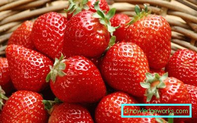 252-Varietà e tipi di fragole