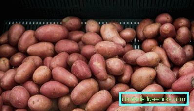 Conservazione a 47 temperature delle patate