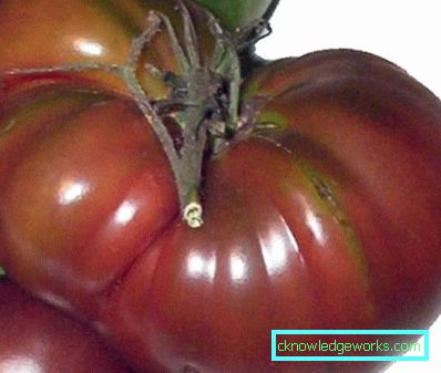 133 Tomato Black Prince