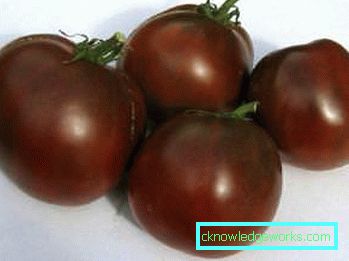 133 Tomato Black Prince