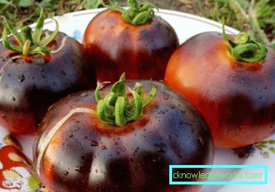 133 Tomato Black Prince