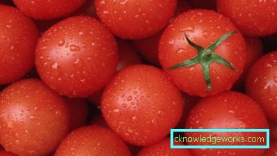 65-varietà di pomodori budenovka