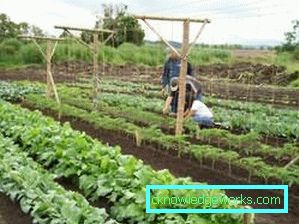 136 letti intelligenti nel loro paese
