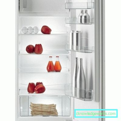 Frigoriferi da incasso Gorenje