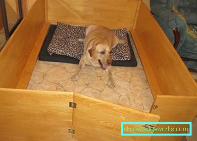 250-Recinto per cani con le proprie mani