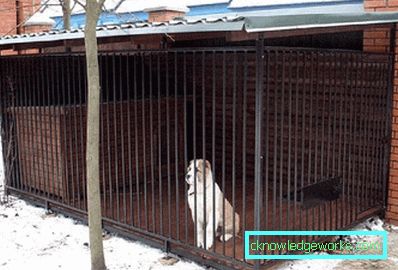 250-Corral per cani fai da te